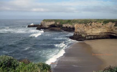 StrawberryBeach.JPG