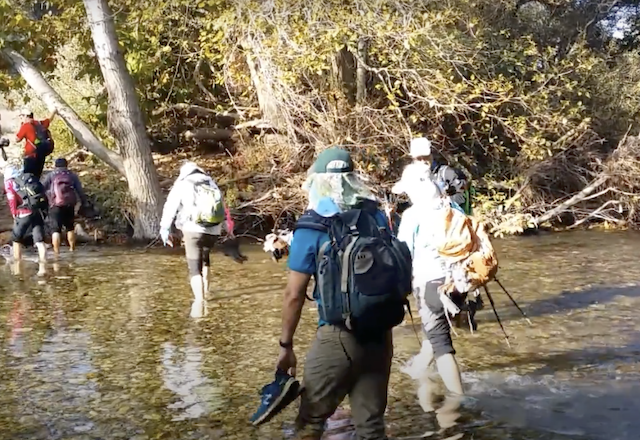 Screen Shot 2020-10-18 at 5.59.51 AM.png