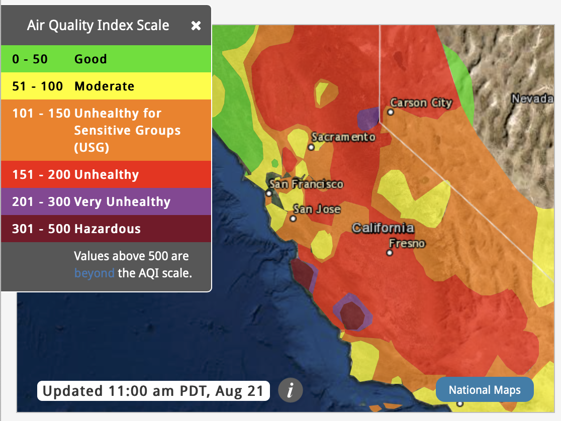 Screen Shot 2020-08-21 at 11.51.40 AM.png