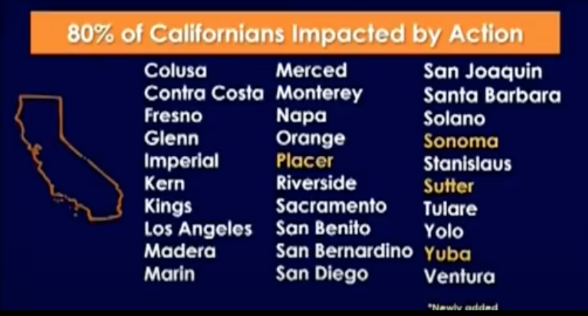 Screen Shot 2020-07-13 at 7.36.31 PM.png