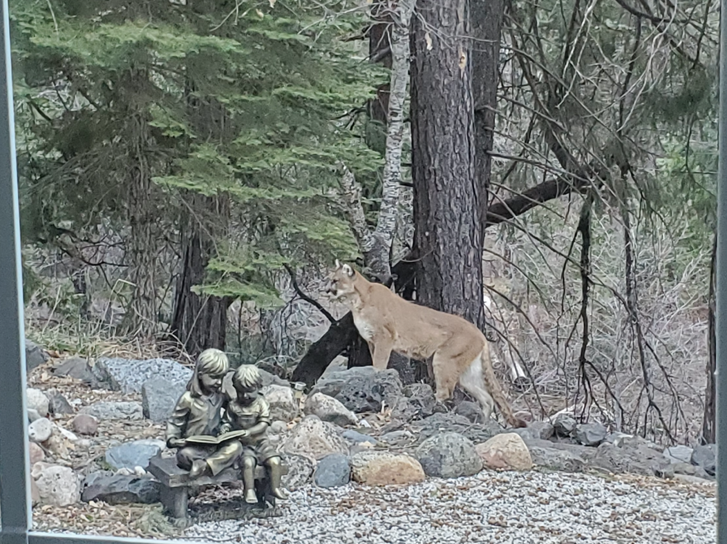 Screen Shot 2020-03-03 at 7.15.40 PM.png