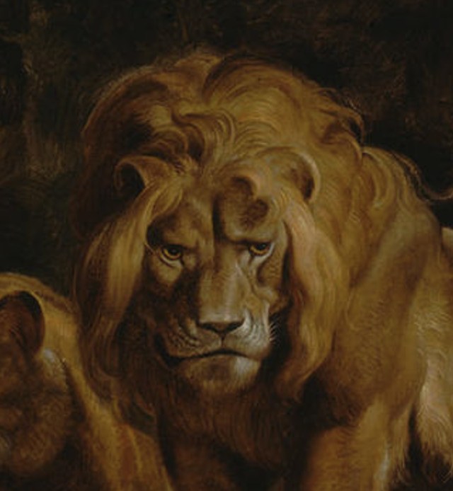 Screen Shot 2019-08-27 at 10.22.21 AM.png