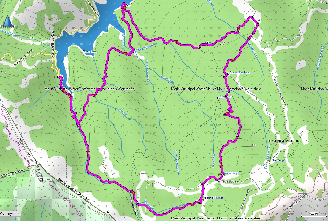 p12.jpg