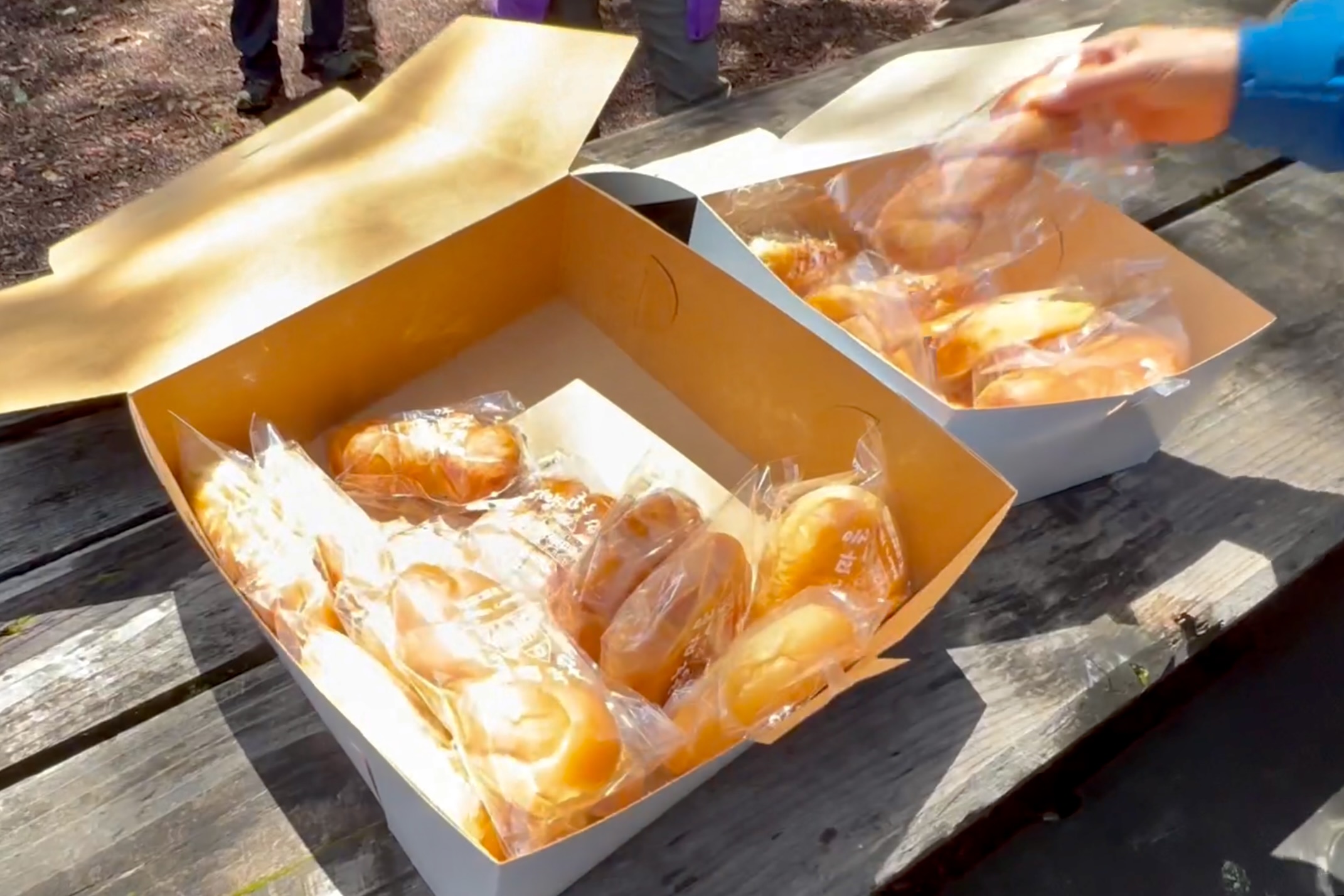 Screen Shot 2022-07-02 at 5.58.45 PM.jpeg