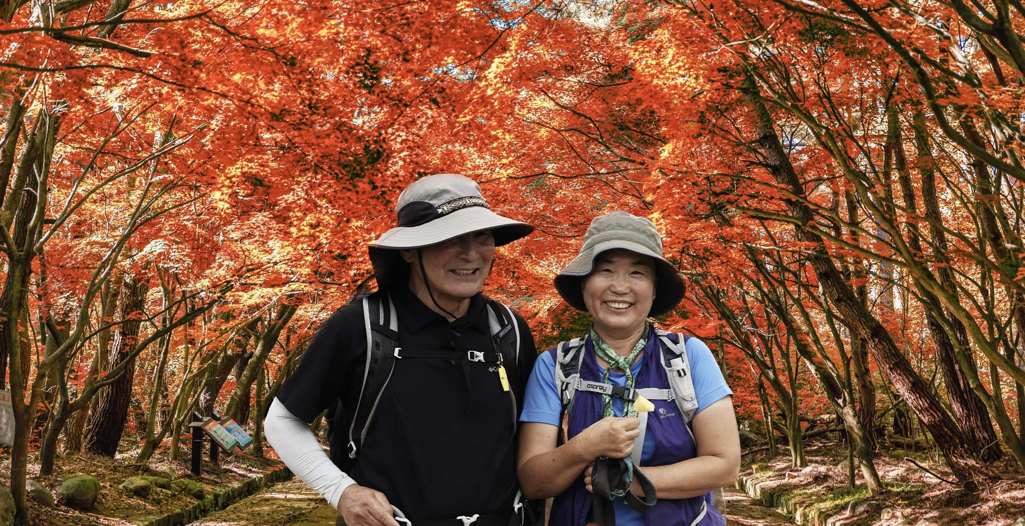 1f971621-bf66-44d8-aed4-15d95dab819d 2.jpg