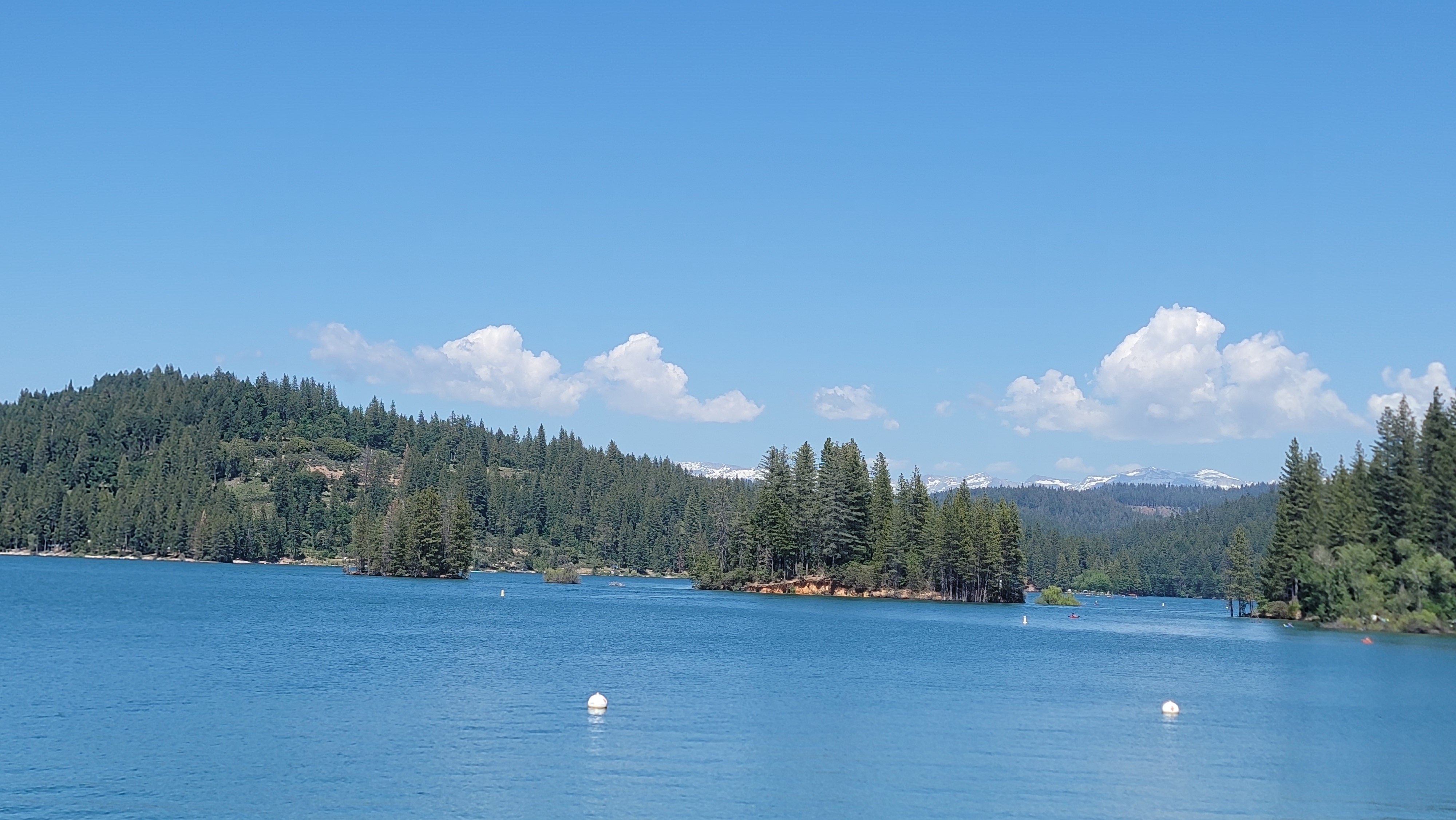 20250524_150104.jpg