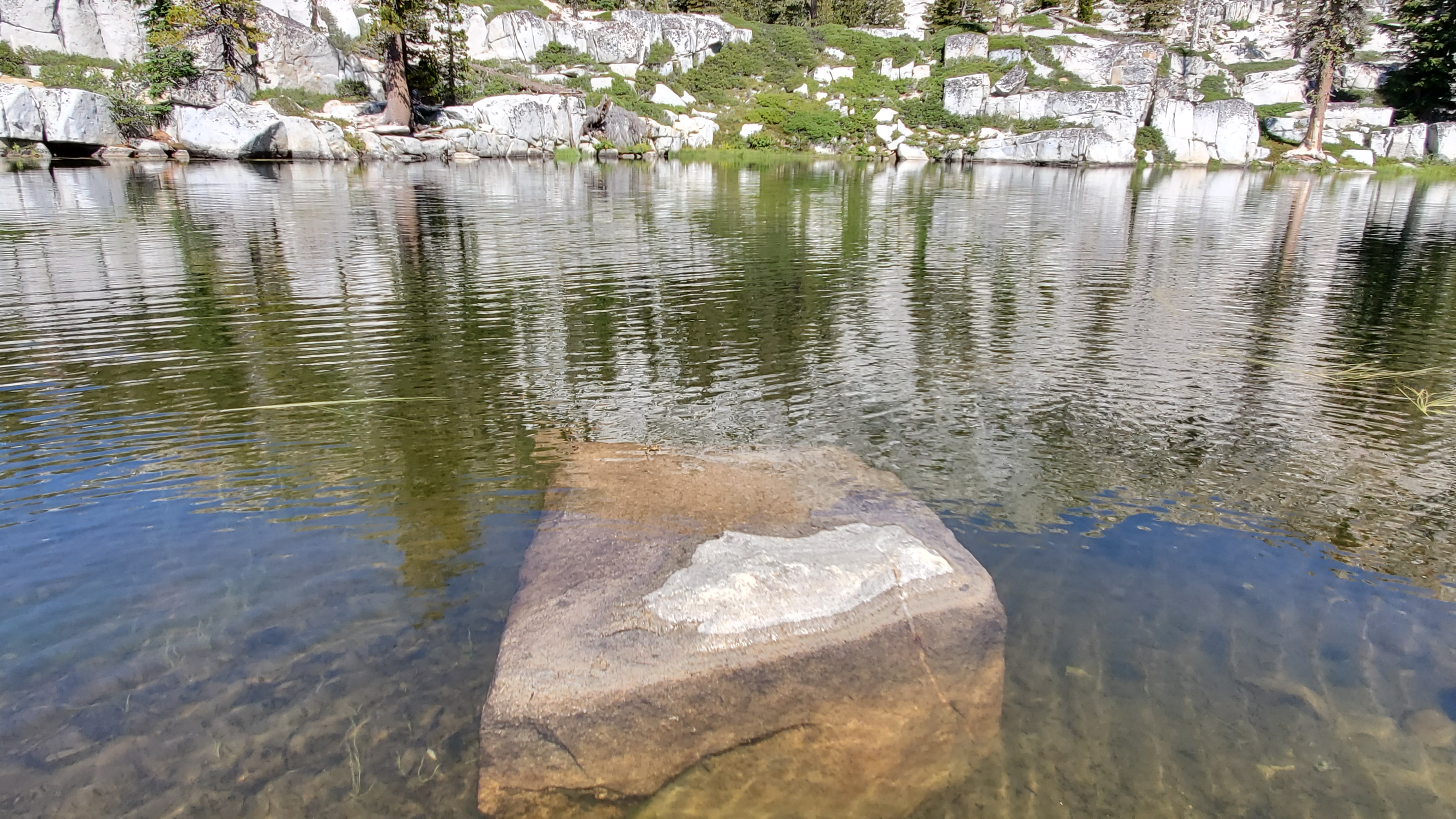 20190921_140151.jpg