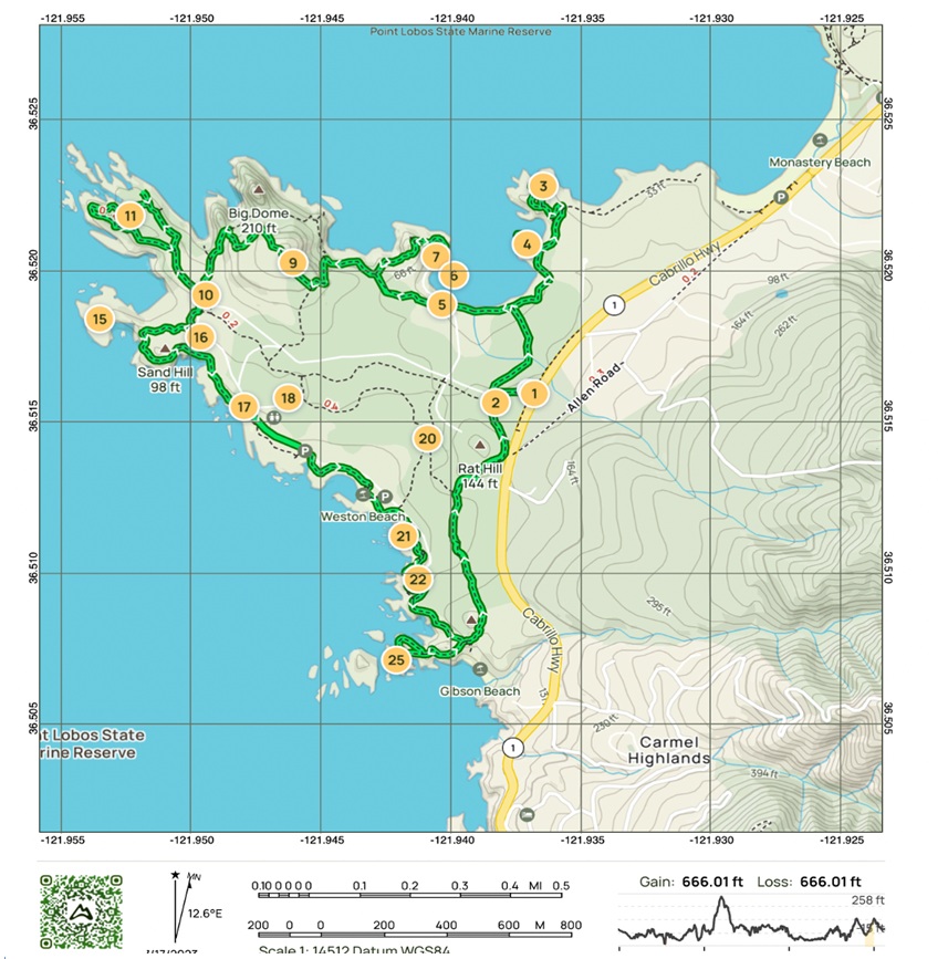 Point Lobos.jpg