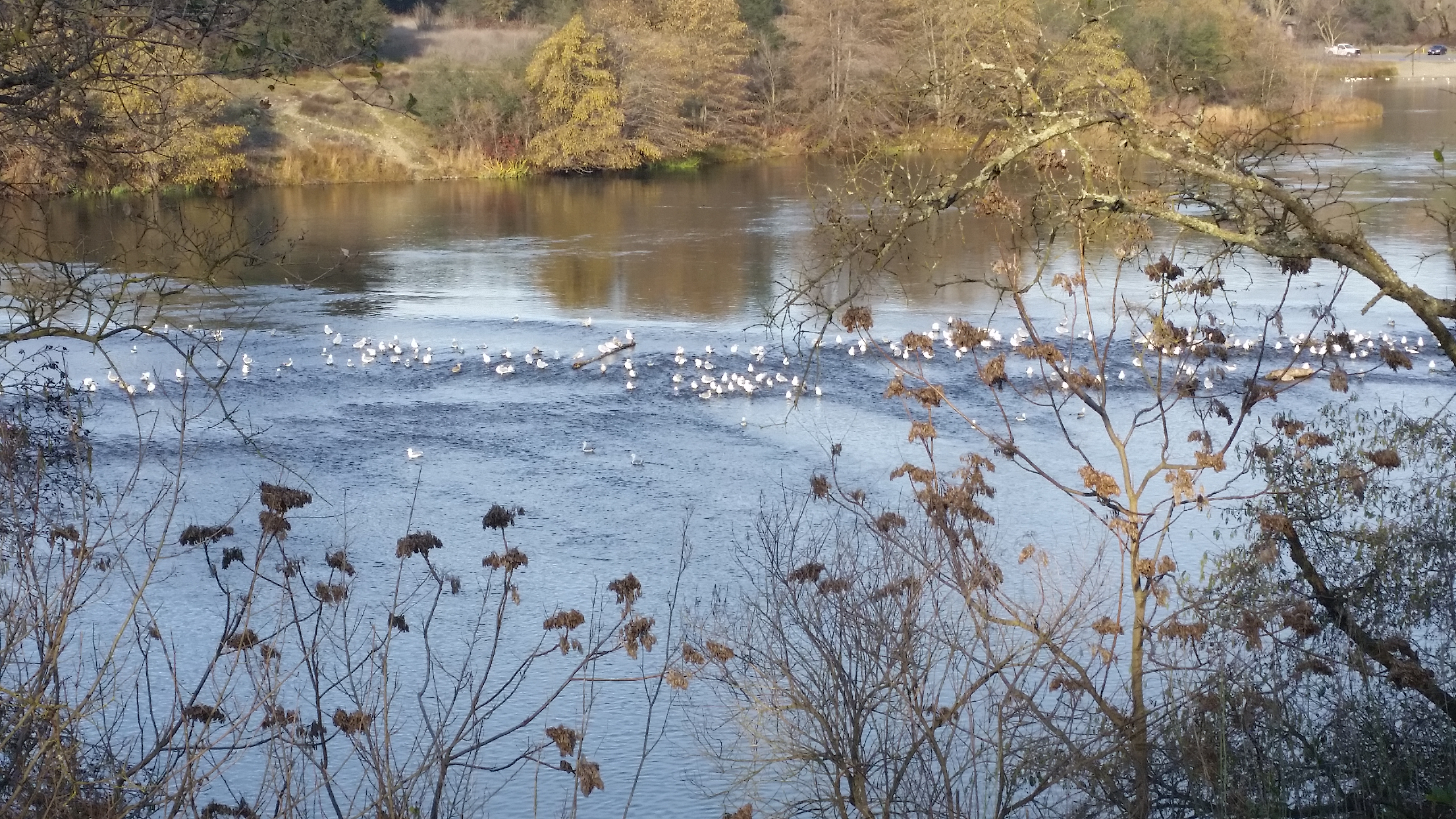 20150108_151855.jpg
